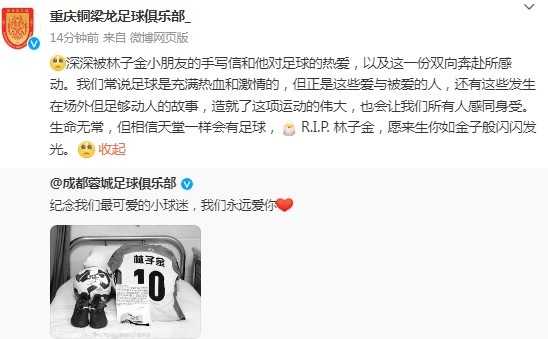 重慶銅梁龍悼念去世小球迷:愿來生你如金子般閃閃發(fā)光